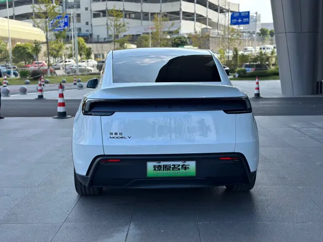 Tesla Model Y — Фото автомобиля 6
