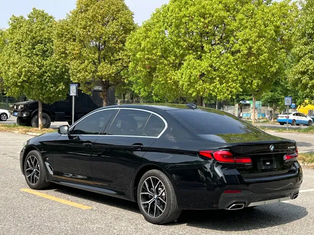 BMW 5 Series — Фото автомобиля 15