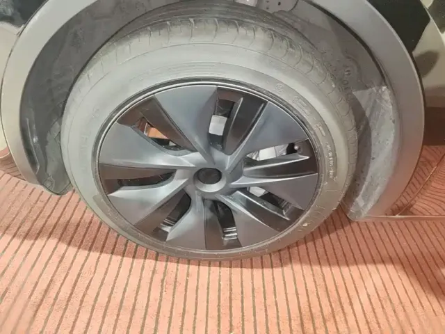 Tesla Model Y — Фото автомобиля 22