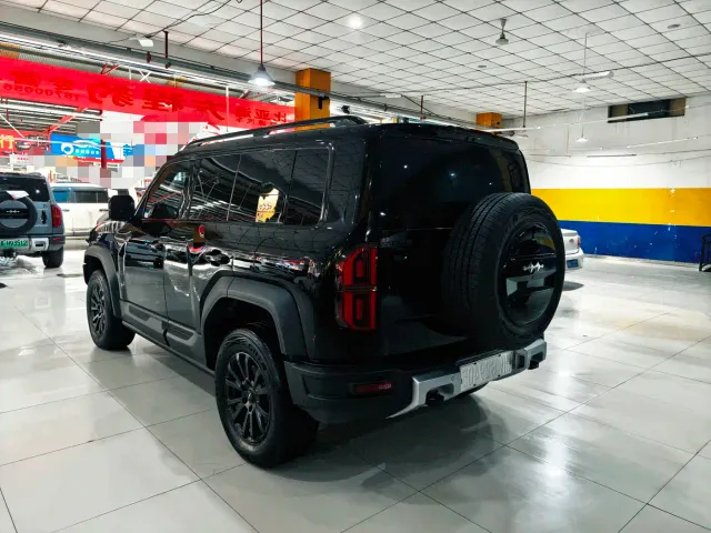 BYD FangChengBao Leopard 5 — Фото автомобиля 20