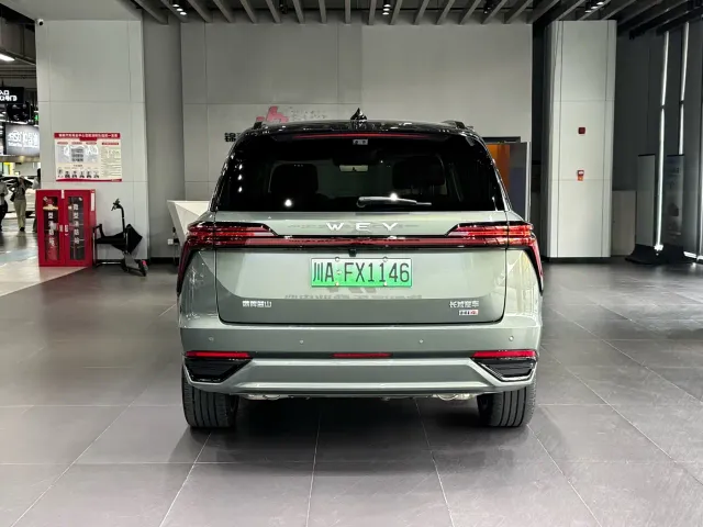 Wey Lanshan — Фото автомобиля 6