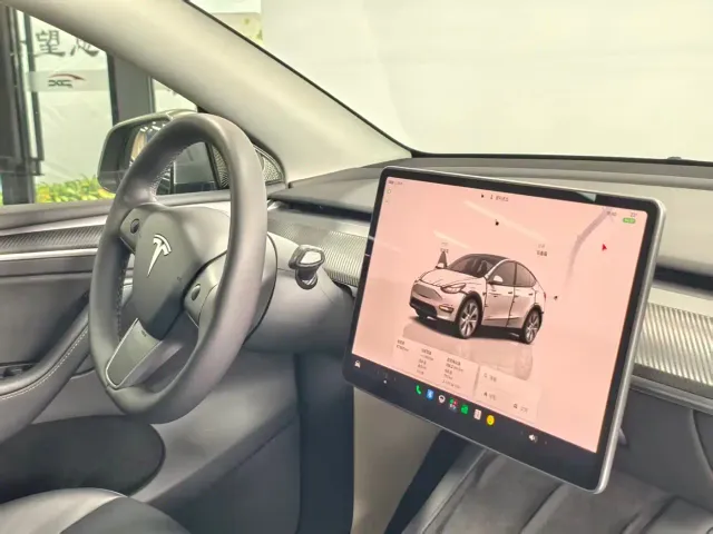 Tesla Model Y — Фото автомобиля 19
