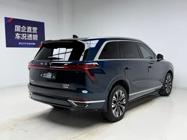 WEY Wey Lanshan 2023 2WD Long Range Edition — Фото автомобиля 4