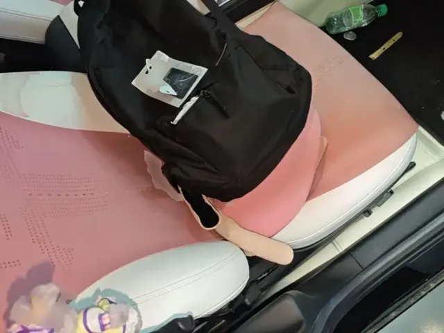 Tesla Model 3 — Фото автомобиля 24