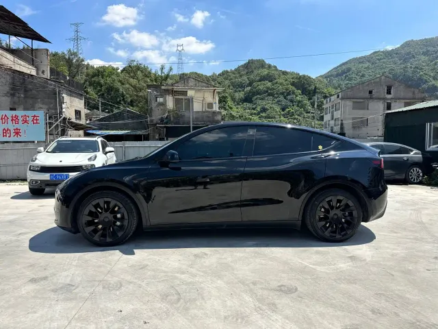 Tesla Model Y — Фото автомобиля 2