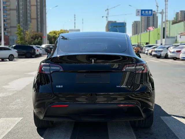 Tesla Model Y — Фото автомобиля 13