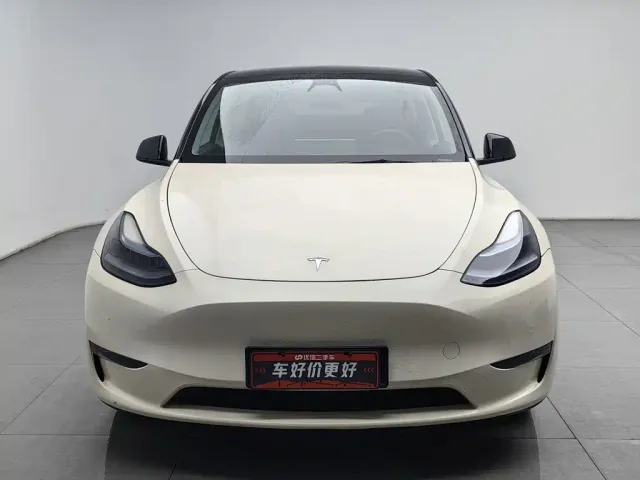 Tesla Model Y — Фото автомобиля 3
