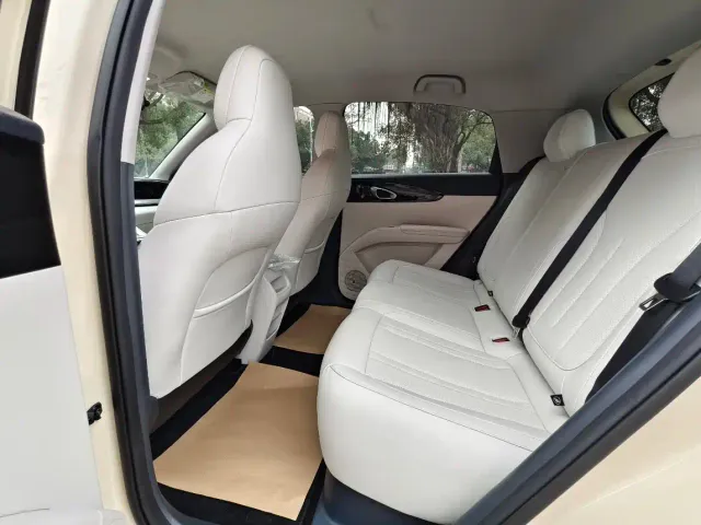 Geely Starry Wish — Фото автомобиля 8