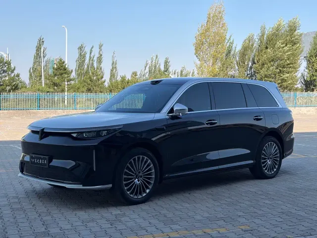Wey V9X — Фото автомобиля 7