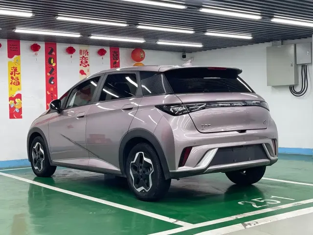 BYD Dolphin — Фото автомобиля 7
