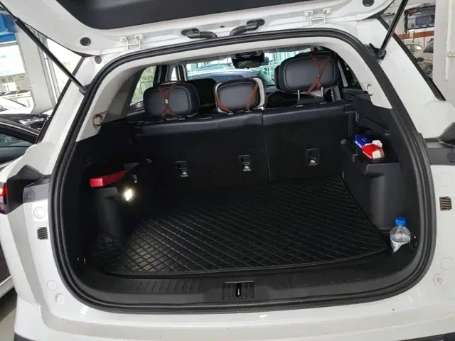 Chery Tansuo 06 — Фото автомобиля 18