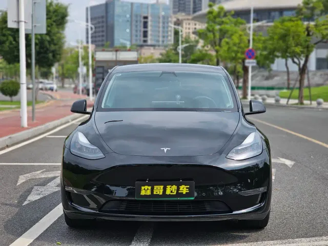 Tesla Model Y — Фото автомобиля 2