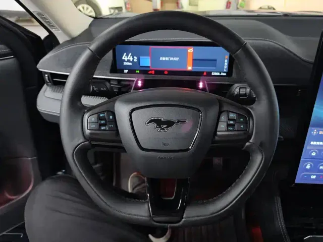 Ford Mustang Mach-E — Фото автомобиля 15