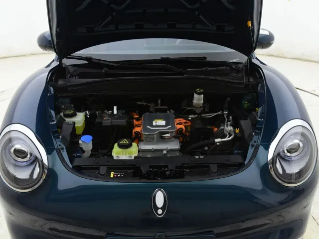 Ora Ora Good Cat 2024 501km Premium — Фото автомобиля 17