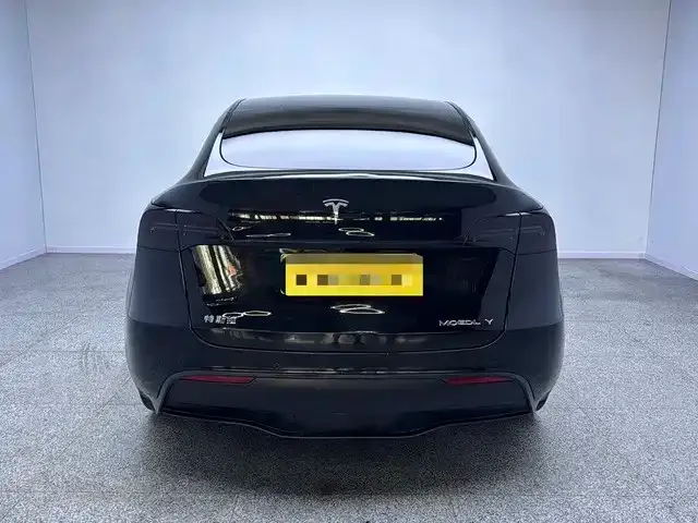 Tesla Model Y — Фото автомобиля 4