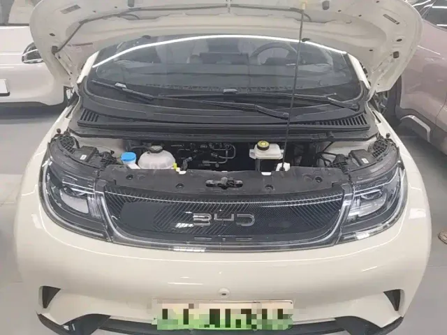 BYD Dolphin — Фото автомобиля 15