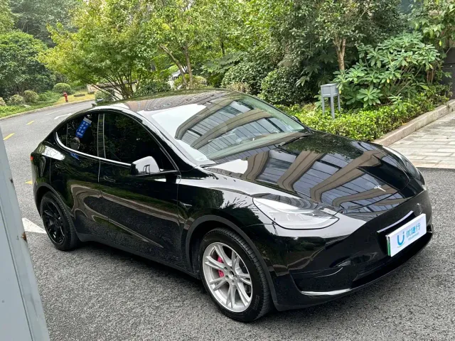 Tesla Model Y — Фото автомобиля 2