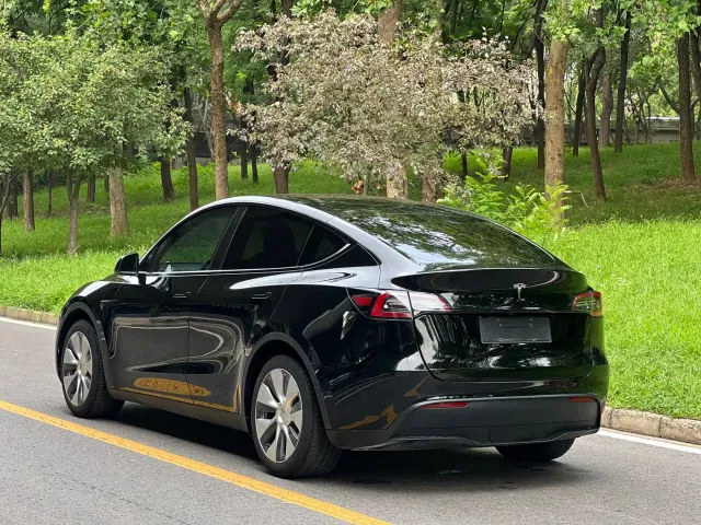 Tesla Model Y — Фото автомобиля 15