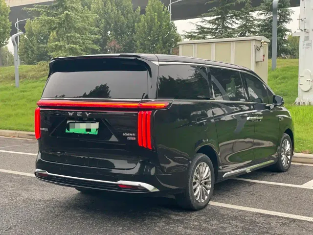 Wey Alpine — Фото автомобиля 7