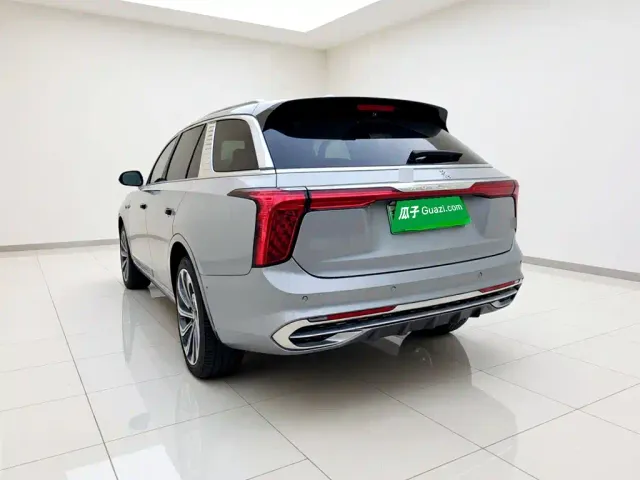 Hongqi Hongqi E-HS9 2022 660km Qi Ling Edition (4-seater) — Фото автомобиля 4