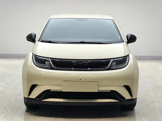 BYD Dolphin — Фото автомобиля 2
