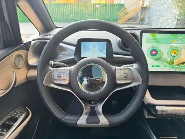 BYD Dolphin — Фото автомобиля 13