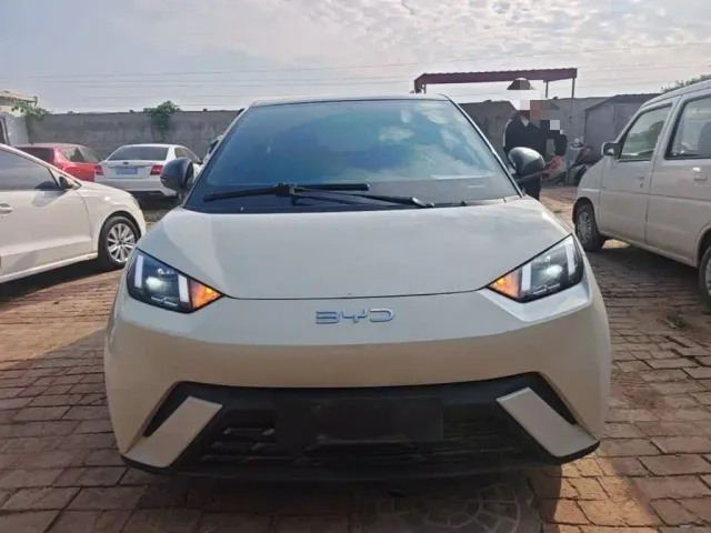 BYD Seagull — Фото автомобиля 2