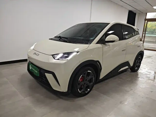 Фотография автомобиля — BYD Seagull