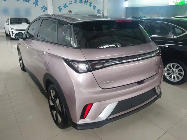 BYD Dolphin — Фото автомобиля 4