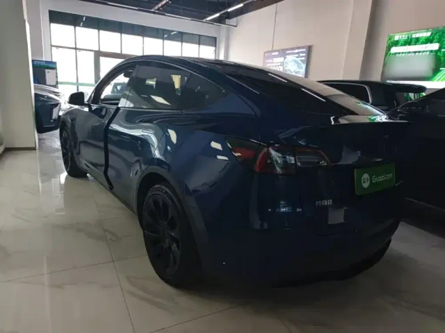 Tesla Model Y — Фото автомобиля 4