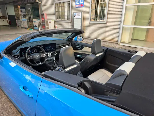 Ford Mustang — Фото автомобиля 13