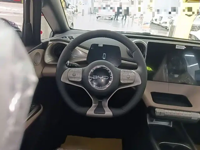 BYD Dolphin — Фото автомобиля 10