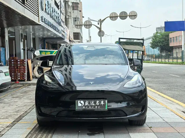 Tesla Model Y — Фото автомобиля 2