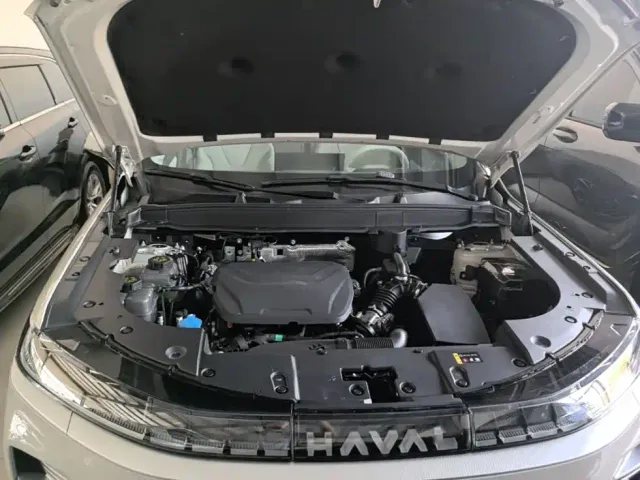 Haval Xiaolong MAX — Фото автомобиля 19