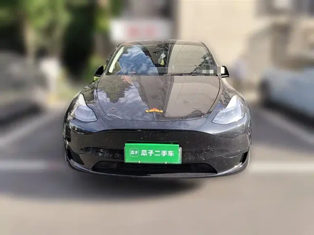 Tesla Model Y — Фото автомобиля 22