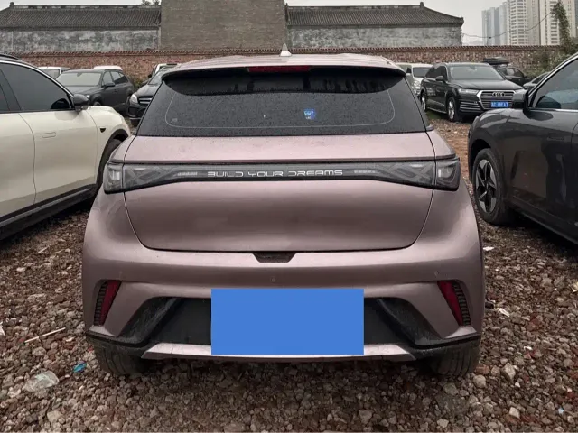 BYD Dolphin — Фото автомобиля 8