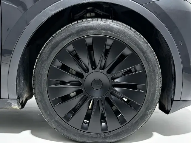 Tesla Model Y — Фото автомобиля 20