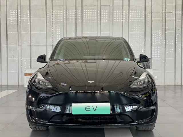 Tesla Model Y — Фото автомобиля 2