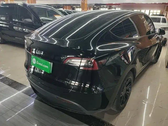 Tesla Model Y — Фото автомобиля 6