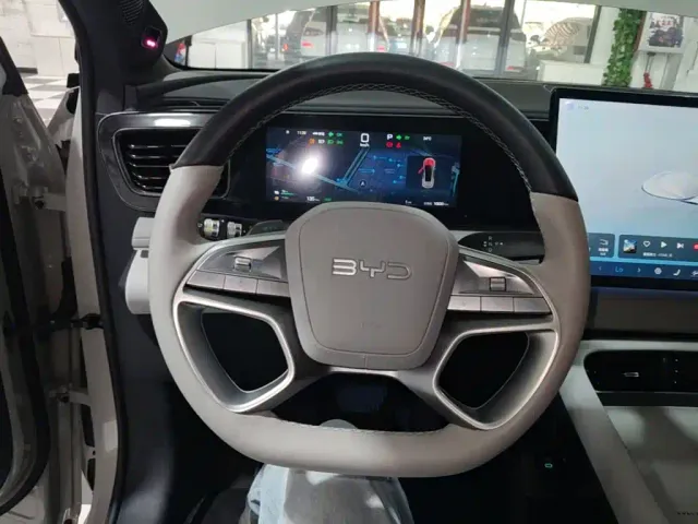 BYD Sealion 06 — Фото автомобиля 10
