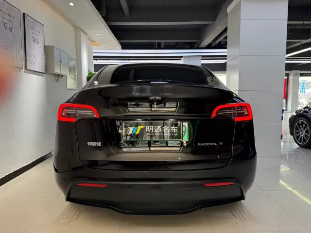 Tesla Model Y — Фото автомобиля 4