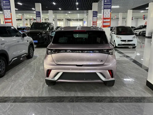 BYD Dolphin — Фото автомобиля 9
