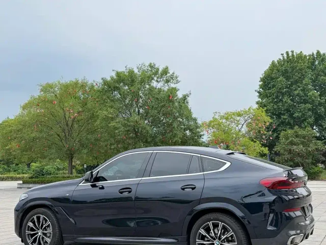 BMW BMW X6 2023 xDrive30i M Sport Package — Фото автомобиля 8