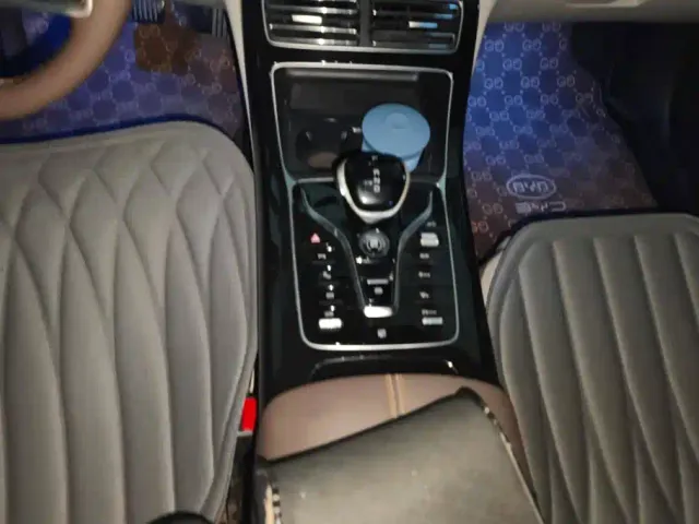 BYD Qin PLUS — Фото автомобиля 16