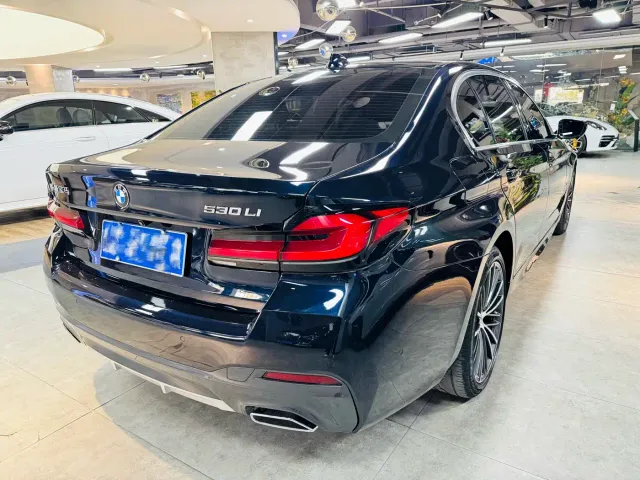 BMW 5 Series — Фото автомобиля 4
