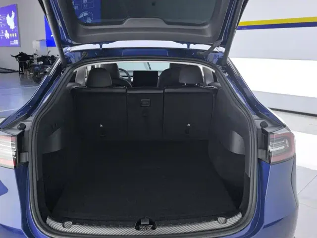 Tesla Model Y — Фото автомобиля 4