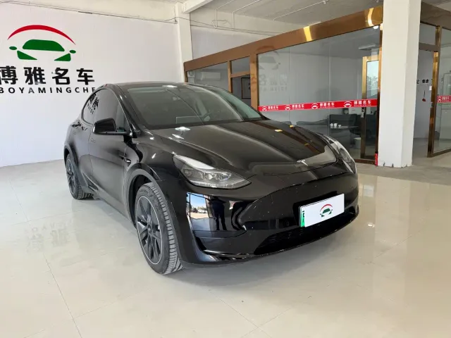 Tesla Model Y — Фото автомобиля 2