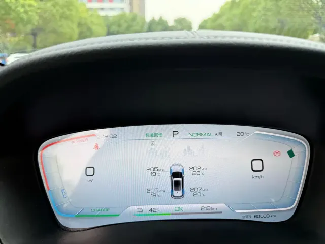 BYD Song PLUS PHEV 2023 Champion Edition EV 520KM Premium — Фото автомобиля 11