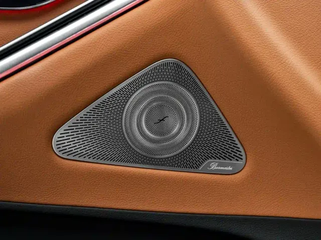 Mercedes-Benz S-Class — Фото автомобиля 16