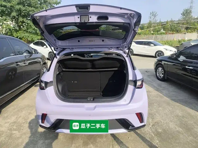 BYD Dolphin — Фото автомобиля 14
